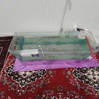 اکواریوم