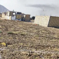 فروش زمین دریمی