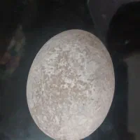 سنگ آسیاب