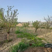 1300-متر-باغ-در-روستای-سرک