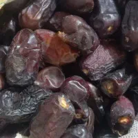 ضایعات خرما