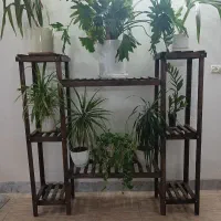 استند گل