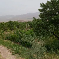 باغچه غرق آباد