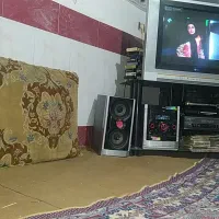 تلویزیون و ریز تلویزیون