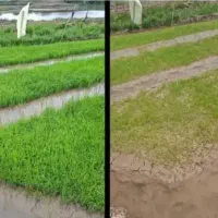 درست خرج کن و درست برداشت کن