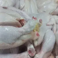 بازاریاب