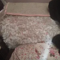 فرش شگی صورتی