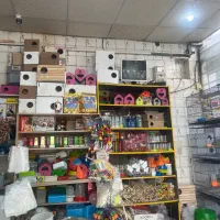 واگذاری پرنده‌فروشی