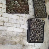 سینی و قالب کیک