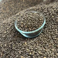 فروش عمده و جزئی قهوه مستقیم از کارخانه