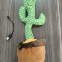 خرید کاکتوس رقصان