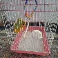 قفس پرنده