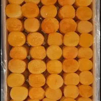 قیمت فقط 250