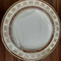 کاملا نو فقط یک دست موجود