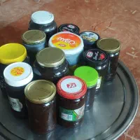 ترشی آلوچه و انار جنگلی ارگانیک بهمراه گردو محلی