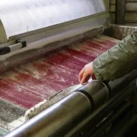 قالیشویی عباس آباد اندیشه سهروردی نیلوفر مطهری