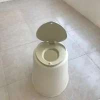 توالت فرنگی