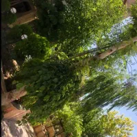اجاره تجاری / مناسب کافه رستوران و مواد غذایی