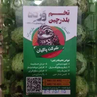 تخم بلدرچین