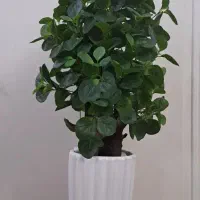 درختچه مصنوعی وارداتی