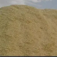 کاه گندم آبی بذر الوندقیمت ۱۴۰۰۰