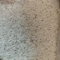 برنج هاشمی
