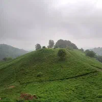 فروش زمین بربلوارجاده تهران