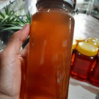 عسلِ درمانی و خالص ییلاق سبلان/خرید از تولید کننده
