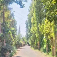 باغ-باغچه-شهرری-در-بهترین-لوکیشن
