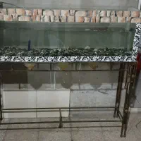 اکواریوم