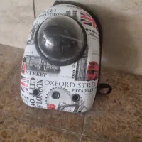 باکس سگ کوچک