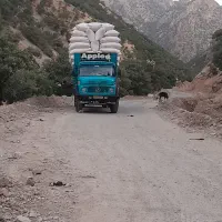 کاه دیم به شرط