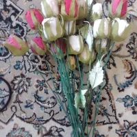 کلکسیون