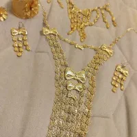 سینه ریزاویزگوشواره دستبندانگشترکمرهمه باهم ۹تومن