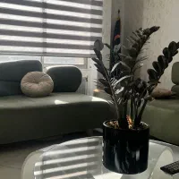 مشاوره تحصیلی