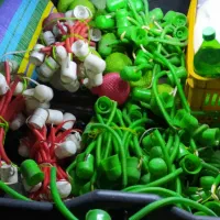 یک گونی ده بسته ای ریسه چراغانی
