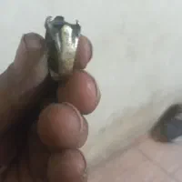 فروشه‌انگشتر‌طلا