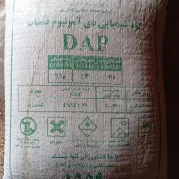 کود سیاه چینی