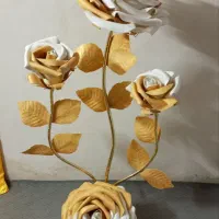 گل فومی کنار سالنی