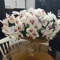 گل و گلدان ارکیده نو
