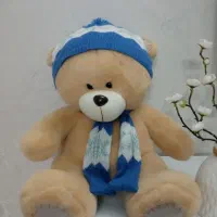 عروسک خرس پولیشی