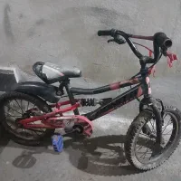 دوعدد دوچرخه 16