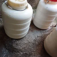 دوغ ( خسه دوغ) دوی دوچن