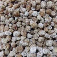 توت خشک درجه یک کیلویی 800