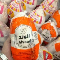 مرغ گرم
