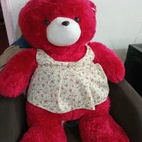 عروسک خرسی بزرگ(شاسخین)