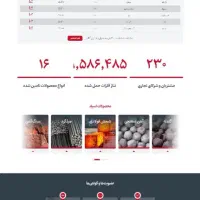 طراحی سایت فروش ساز/سیستم فروش آنلاین/با نت ملی