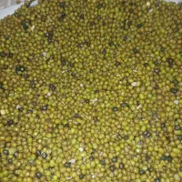 حبوبات