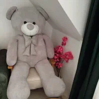شاسخین
