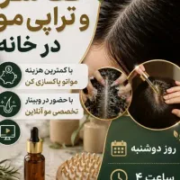 وبینارمو
